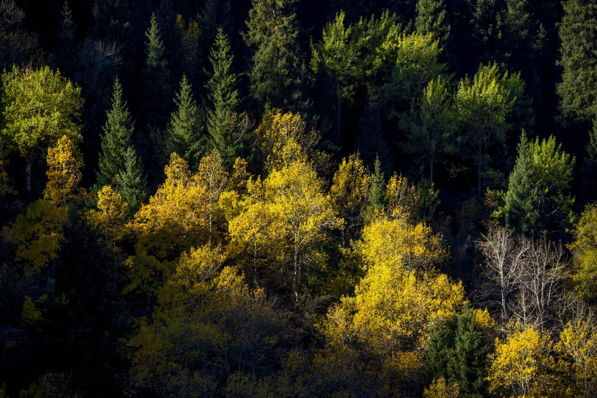 Autumn in Northern Tien Shan
