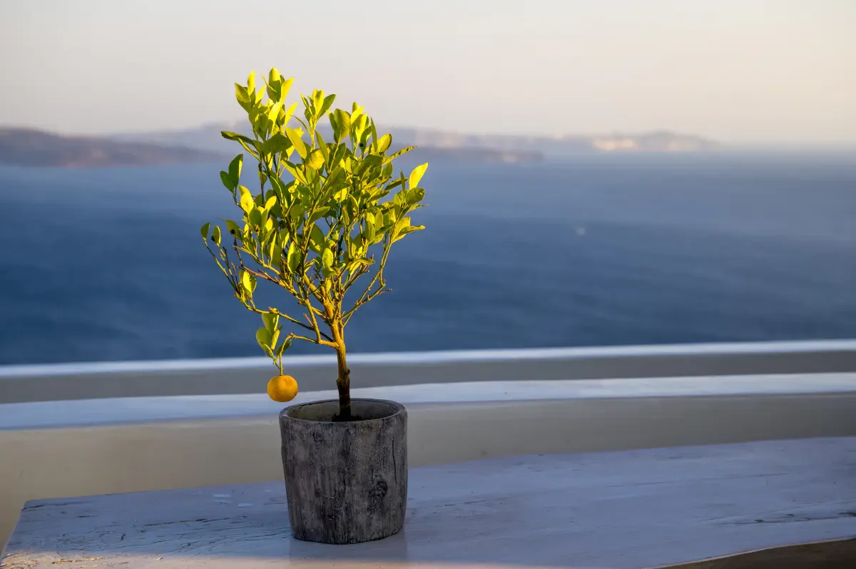 Santorini island, Greece