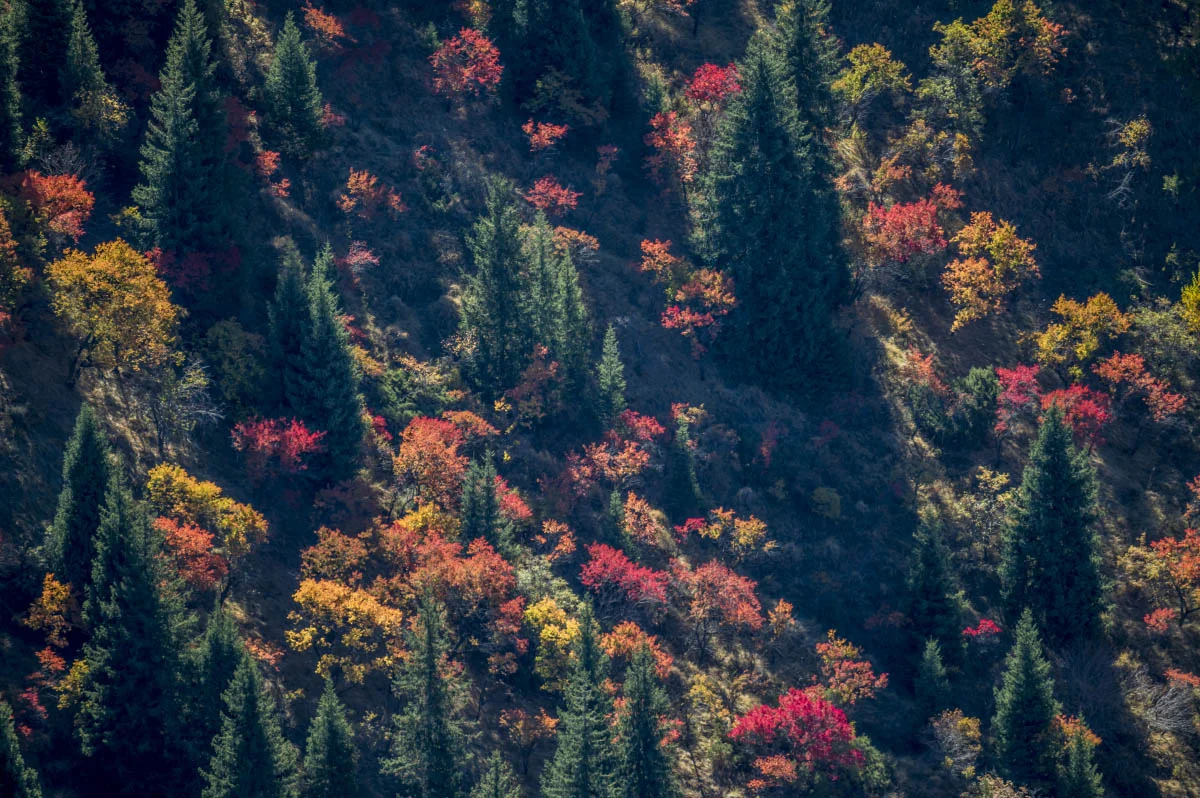 Autumn in Northern Tien Shan