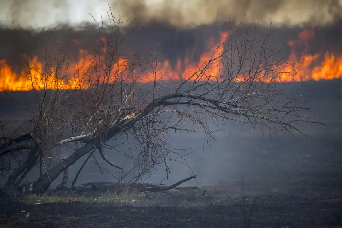 Fire on the Ili River (сhinese: 伊犁河)