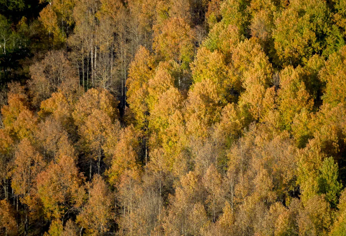 Altai mountain system, Eastern Kazakhstan