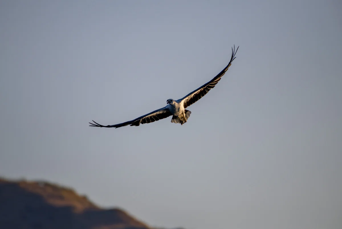 Komodo National Park, Indonesia