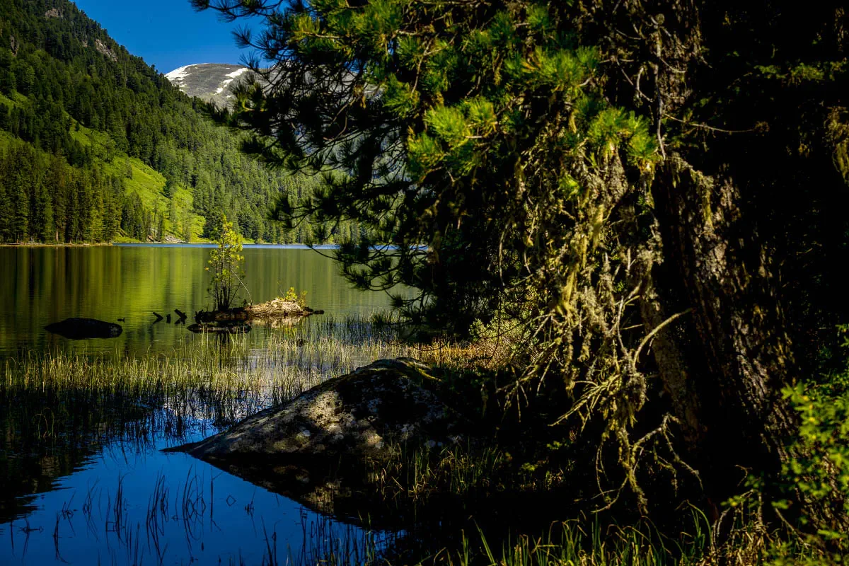 Altai mountain system, Eastern Kazakhstan
