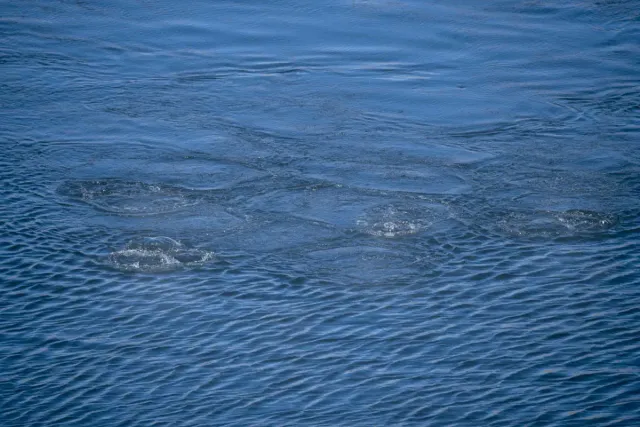 Training of Kazakhstan combat swimmers Search - 2018