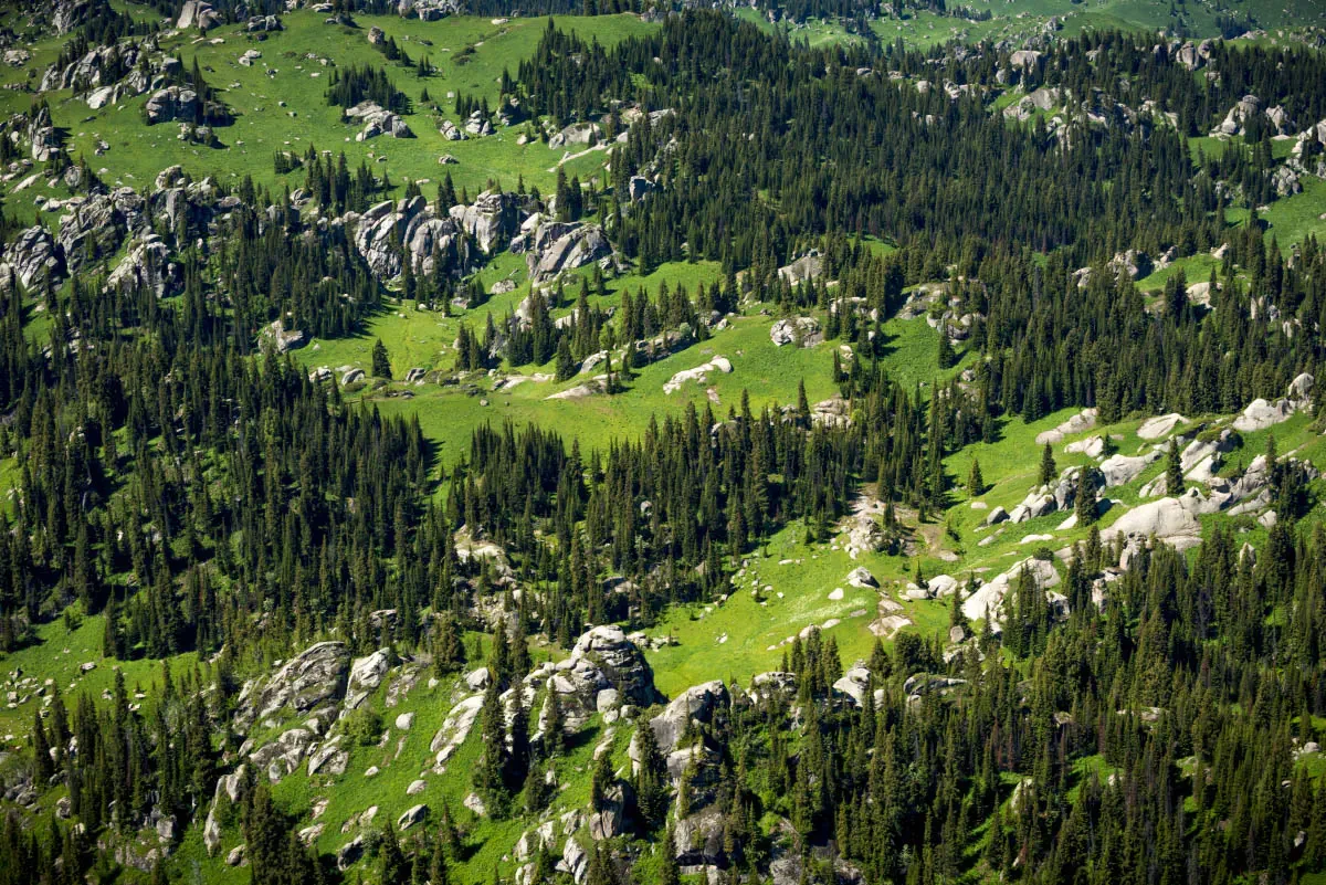 Dzungarian Alatau (Zhetysu Alatau). South-East Kazakhstan