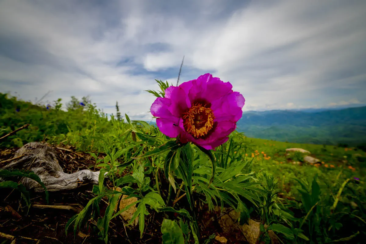 Ore Altai, East Kazakhstan
