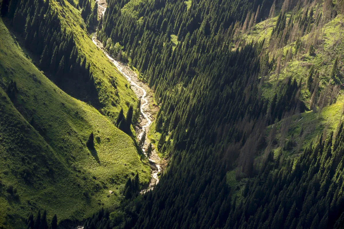 Trans-Ili Alatau. Northern Tien Shan