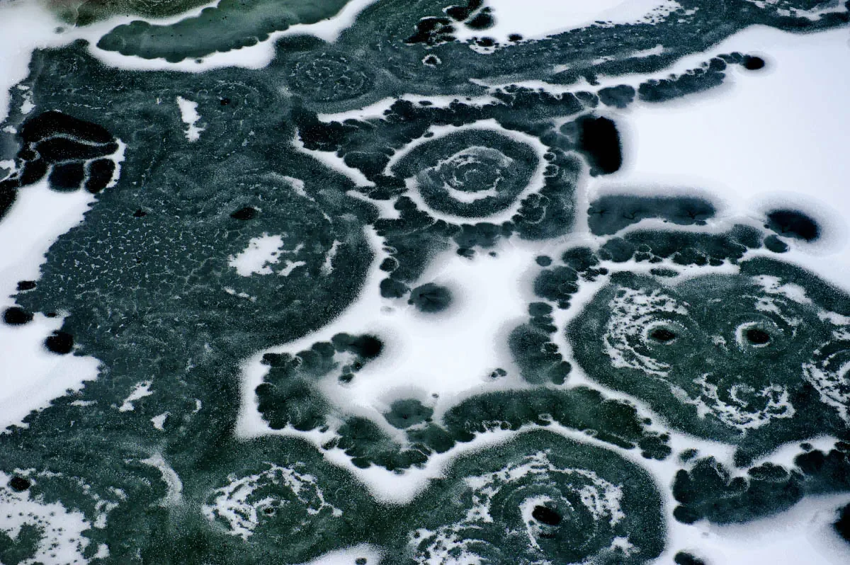 Ili river delta (сhinese: 伊犁河). South-East Kazakhstan