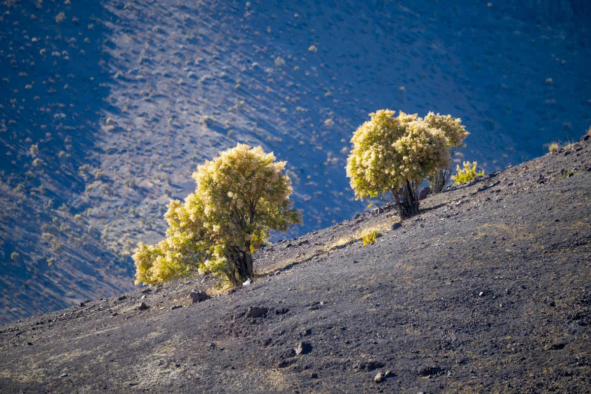 Río Hurtado Valley, Chile