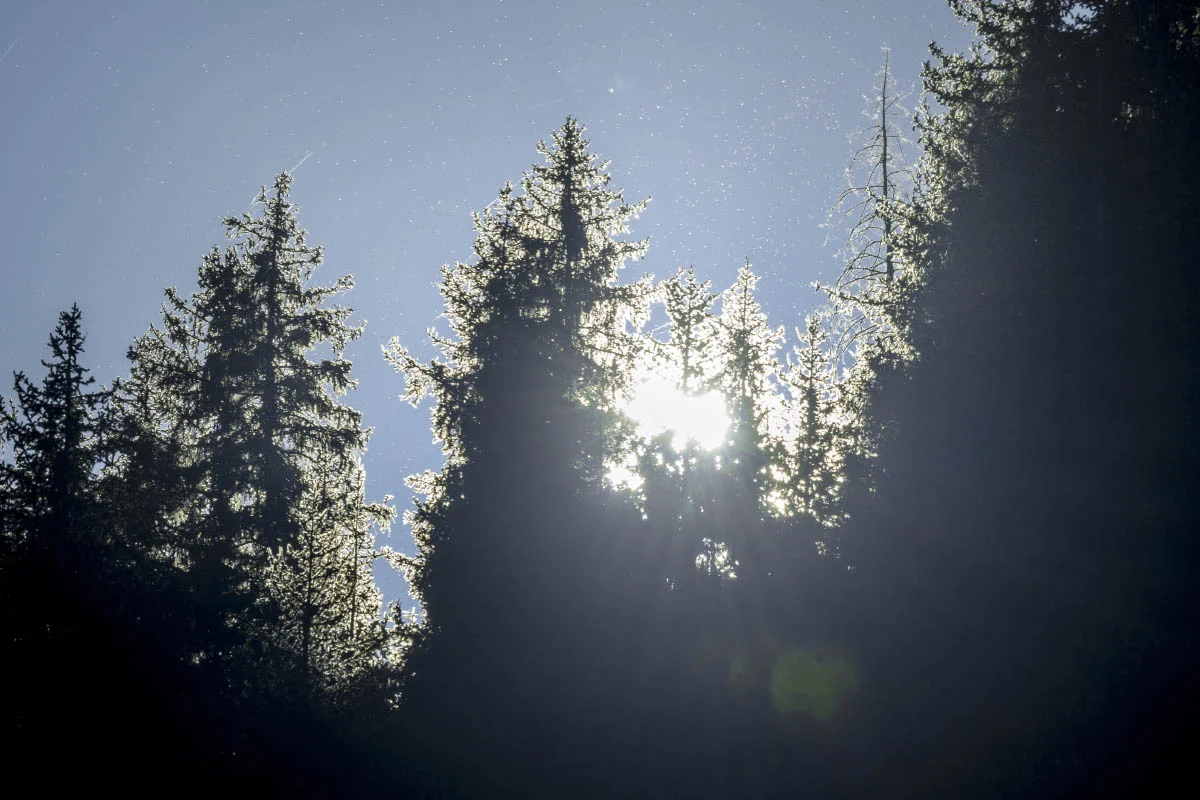 Autumn in Northern Tien Shan