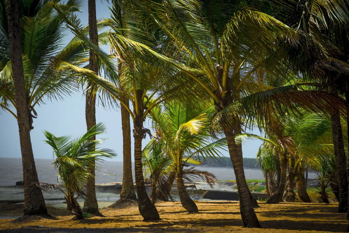 Kourou, French Guiana