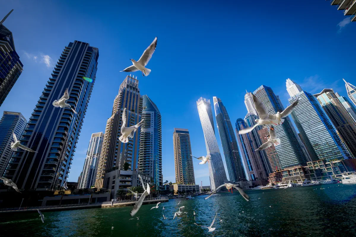 Dubai