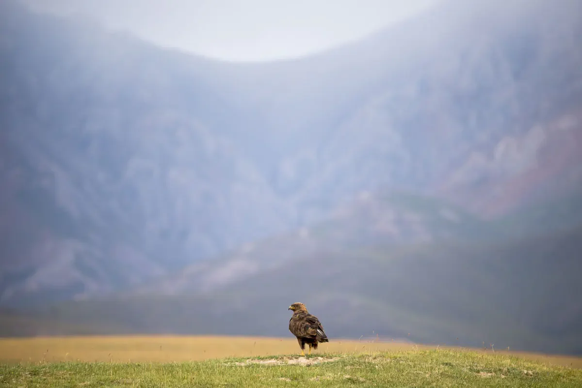 Song Köl. Naryn Province, Kyrgyzstan