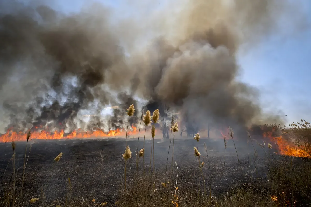 Fire on the Ili River (сhinese: 伊犁河)