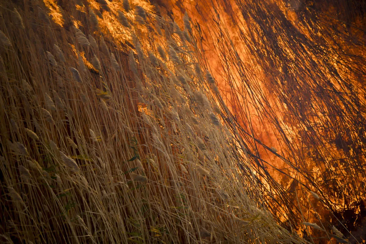 Fires in Moyinkum, Zhambyl region, Kazakhstan