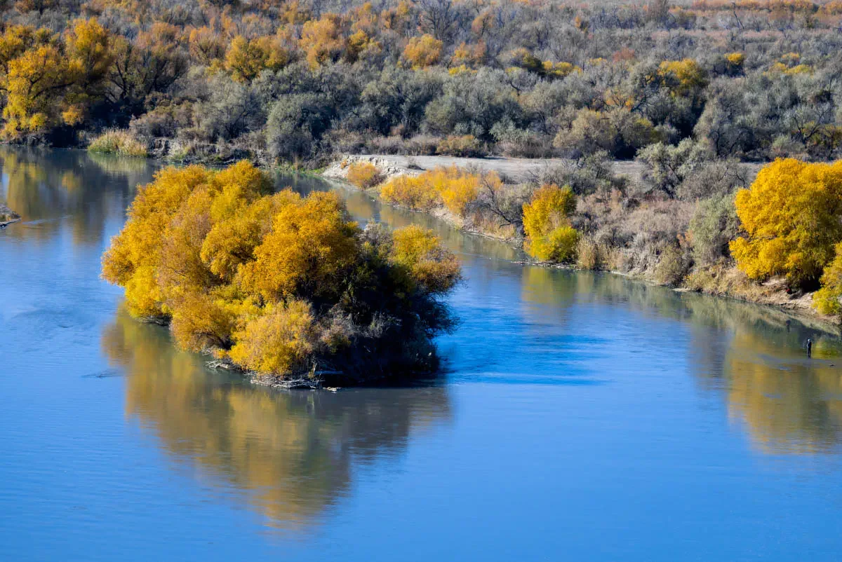 Autumn in the Karatal river delta