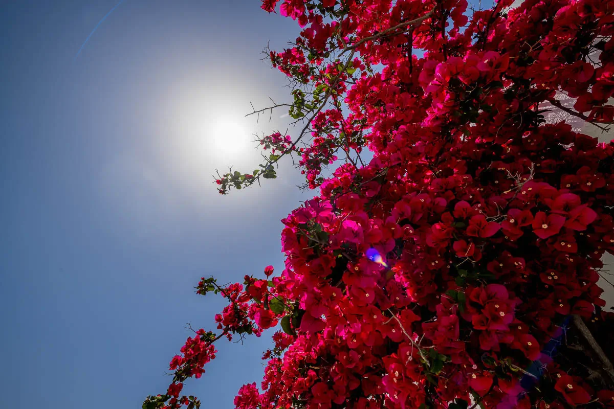 Santorini island, Greece