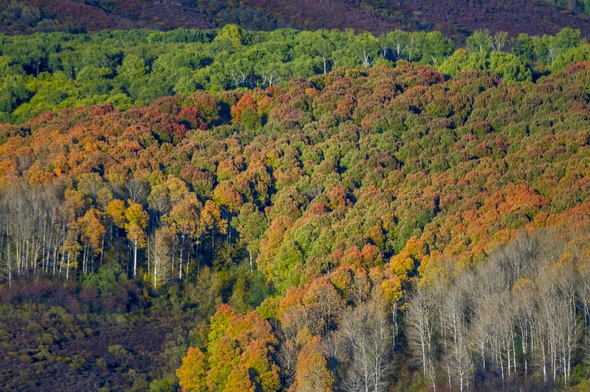 Altai mountain system, Eastern Kazakhstan