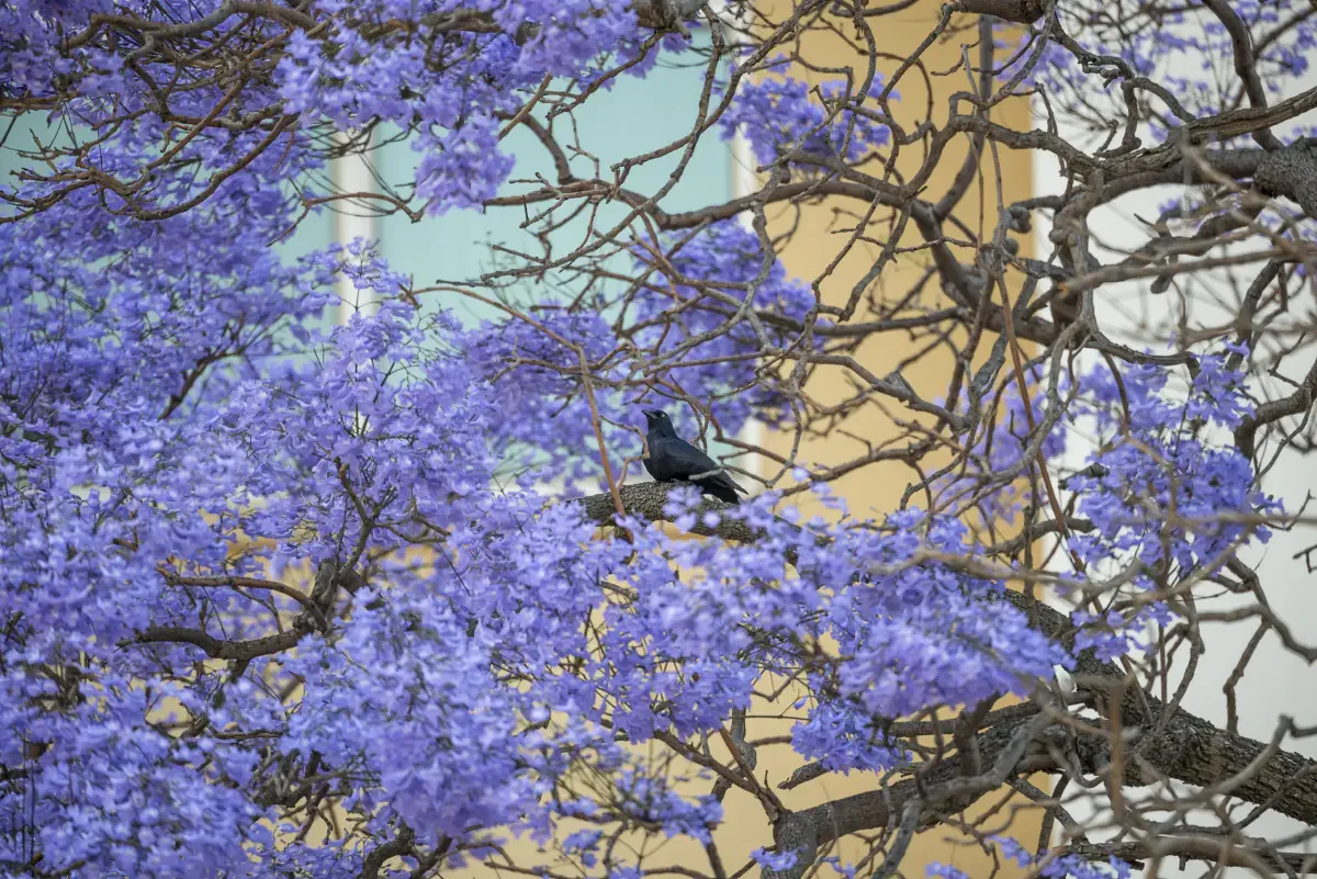 Sandton. Gauteng Province, South Africa