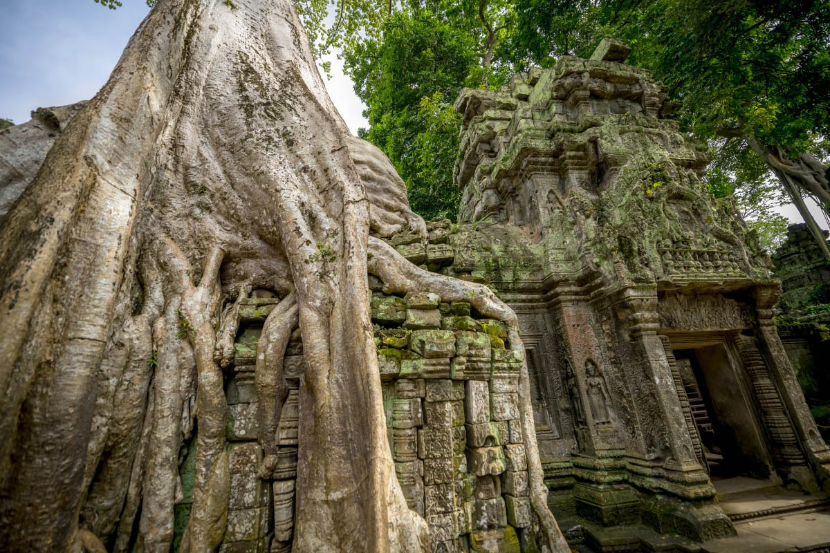 Ta Prohm, Cambodia