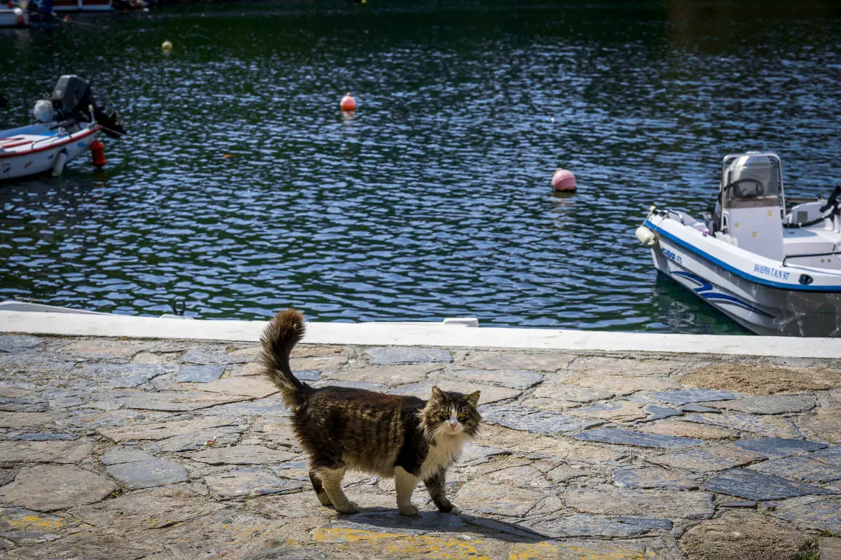 Agios Nikolaos, Crete island, Greece