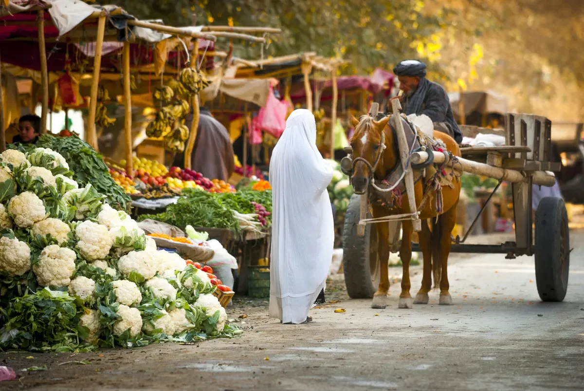 Balkh, Afghanistan