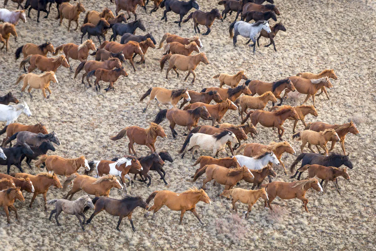 The Kazakh Uplands (Saryarqa). Central Kazakhstan