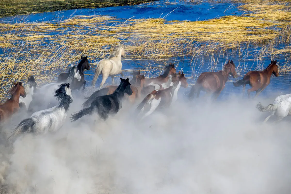 Moiynkum. Jambyl region, south-eastern Kazakhstan