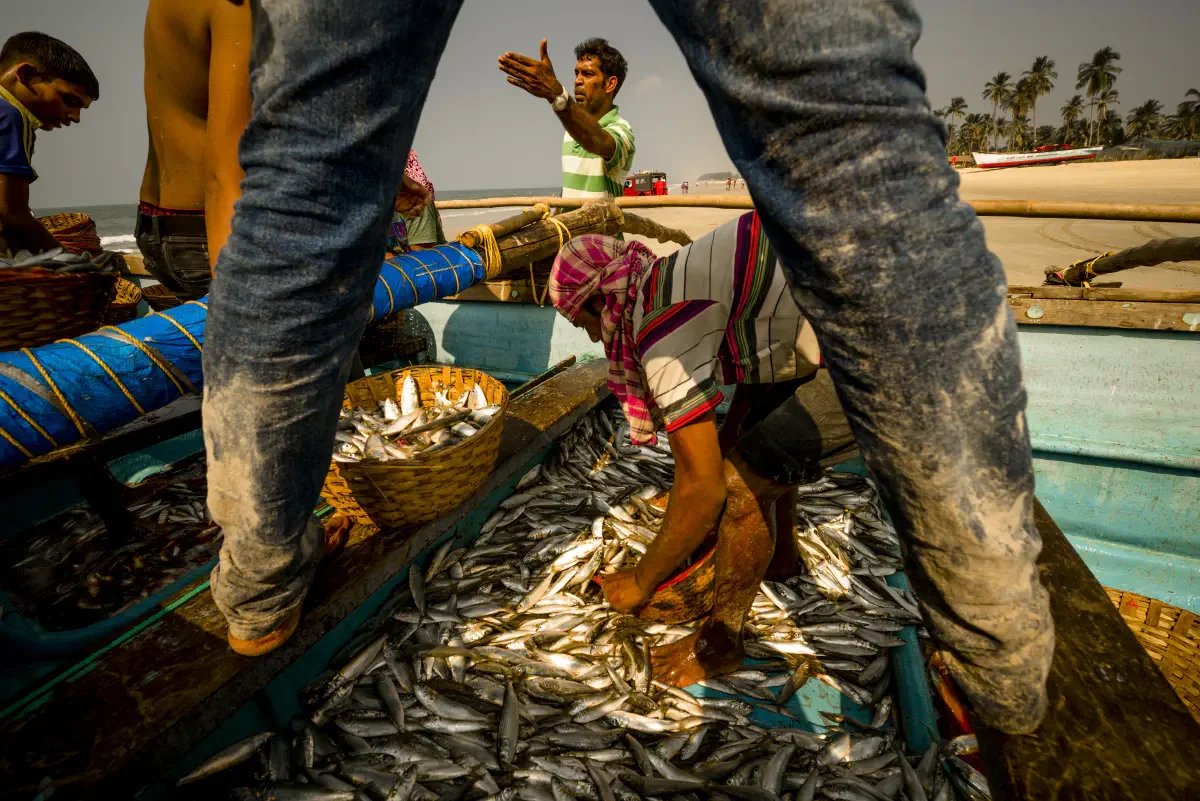 Fishermens. Colva Beach, South Goa, India