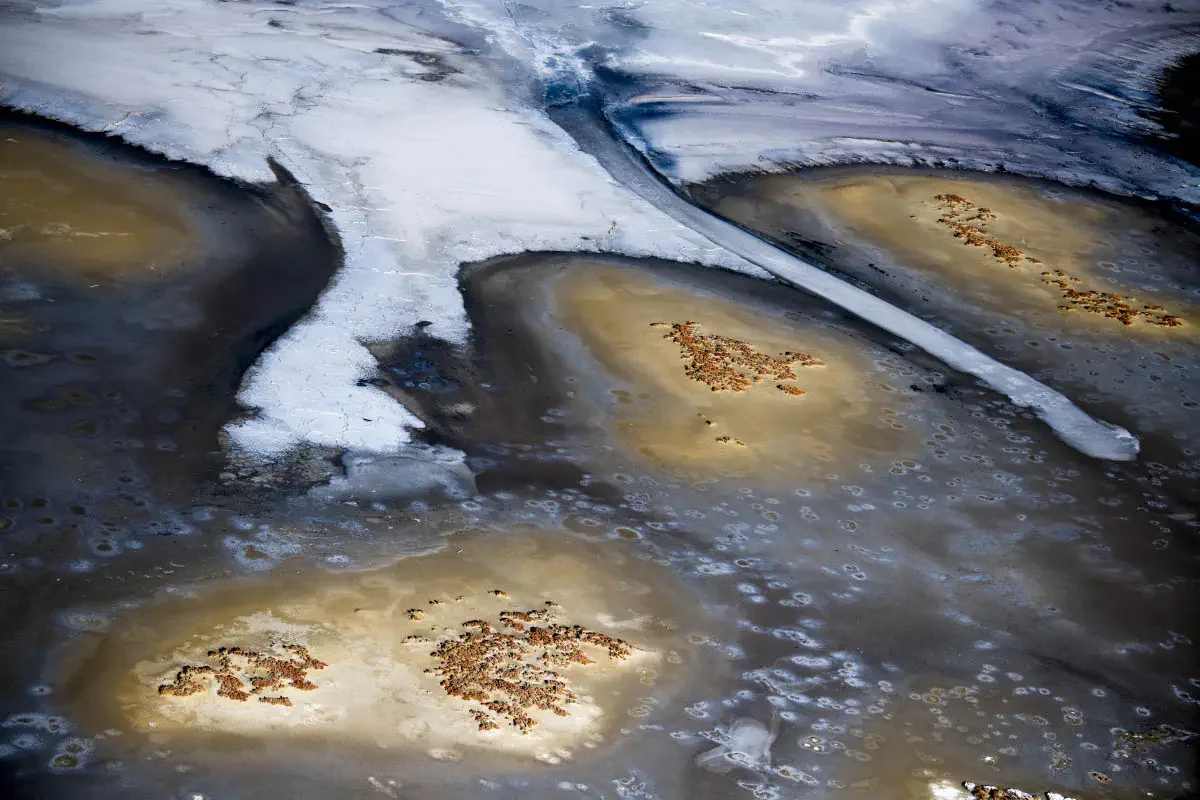 The surface of a salt lake in the area of Balkhash Lake