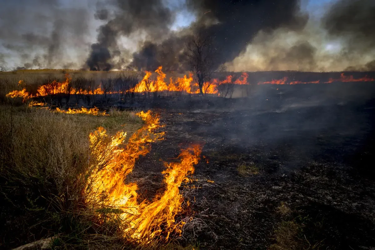 Fire on the Ili River (сhinese: 伊犁河)