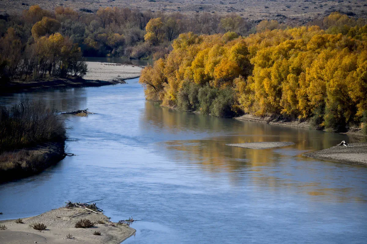 Autumn in the Karatal river delta