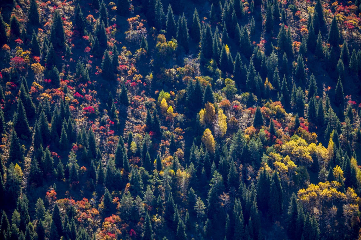 Autumn in Northern Tien Shan