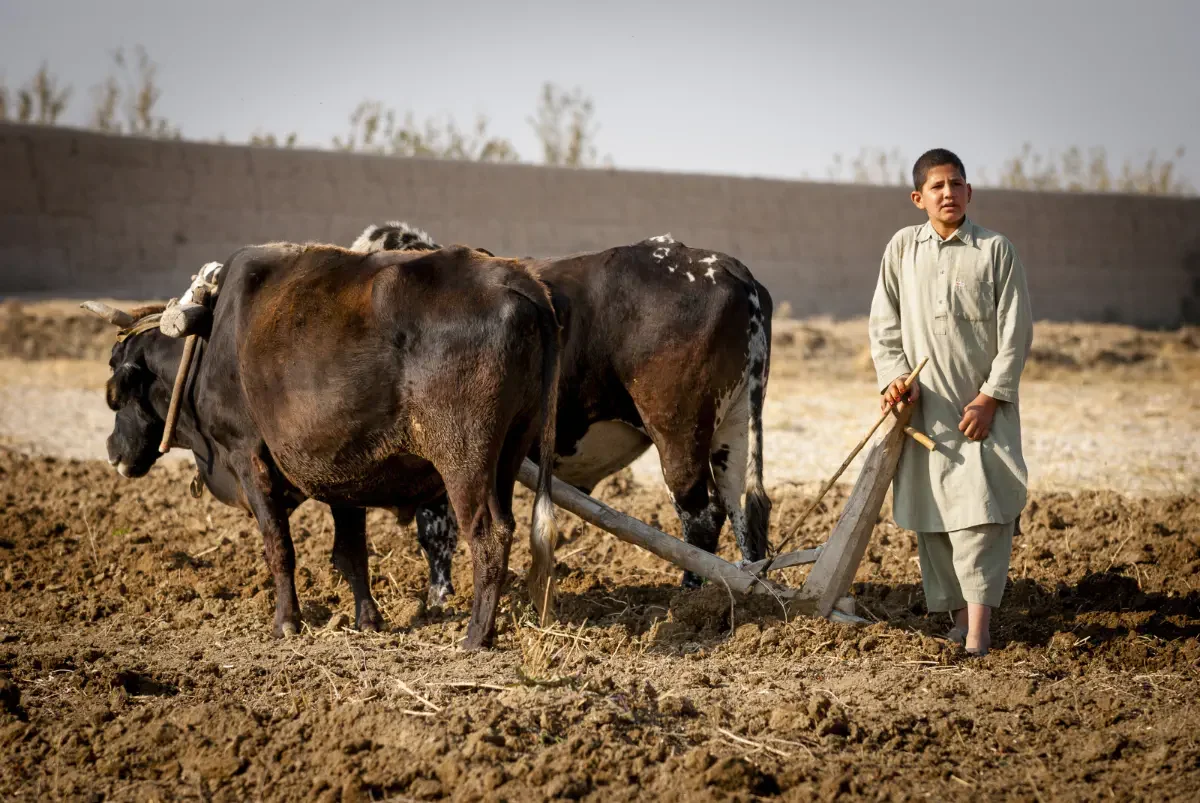 Balkh, Afghanistan