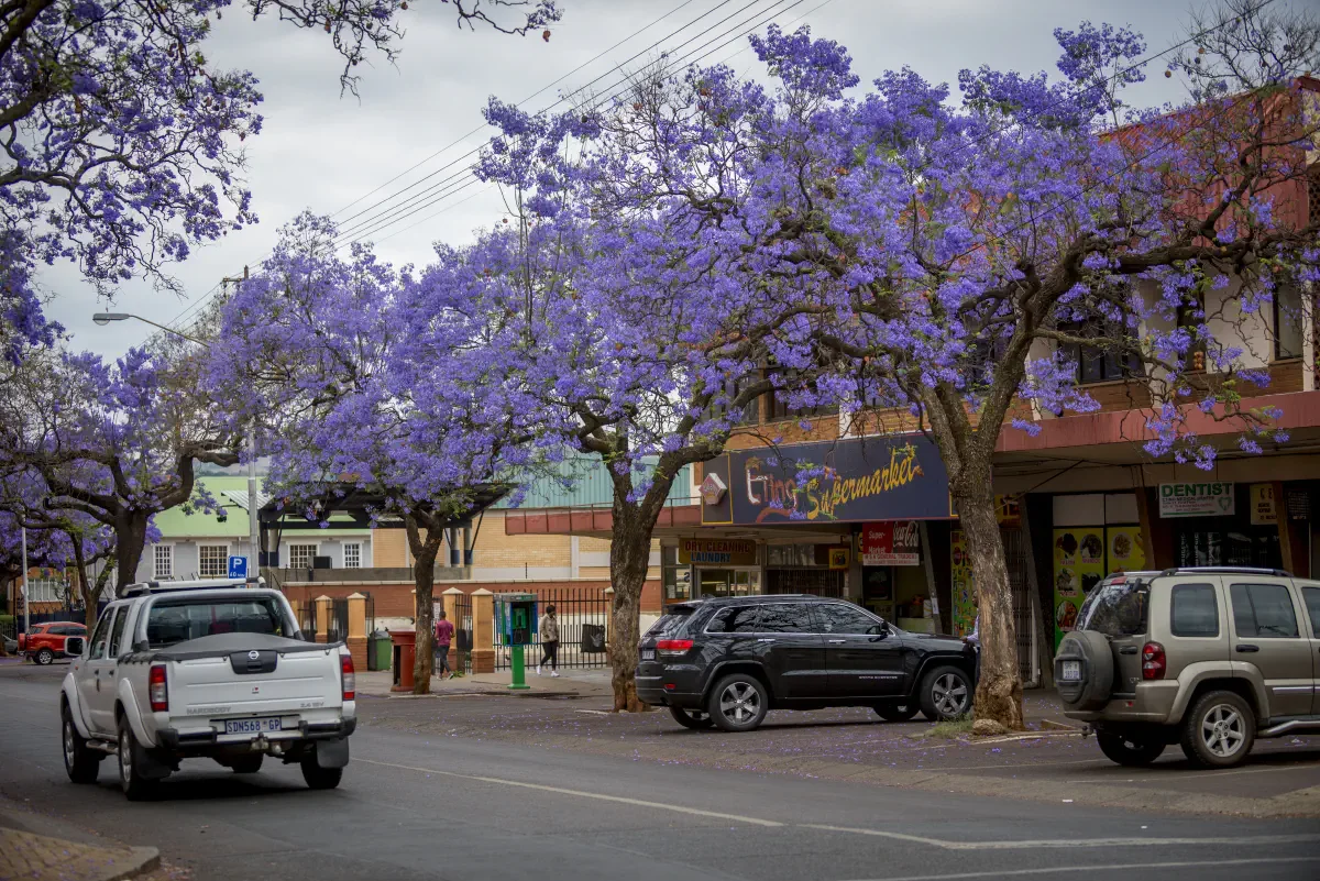 Pretoria, South Africa