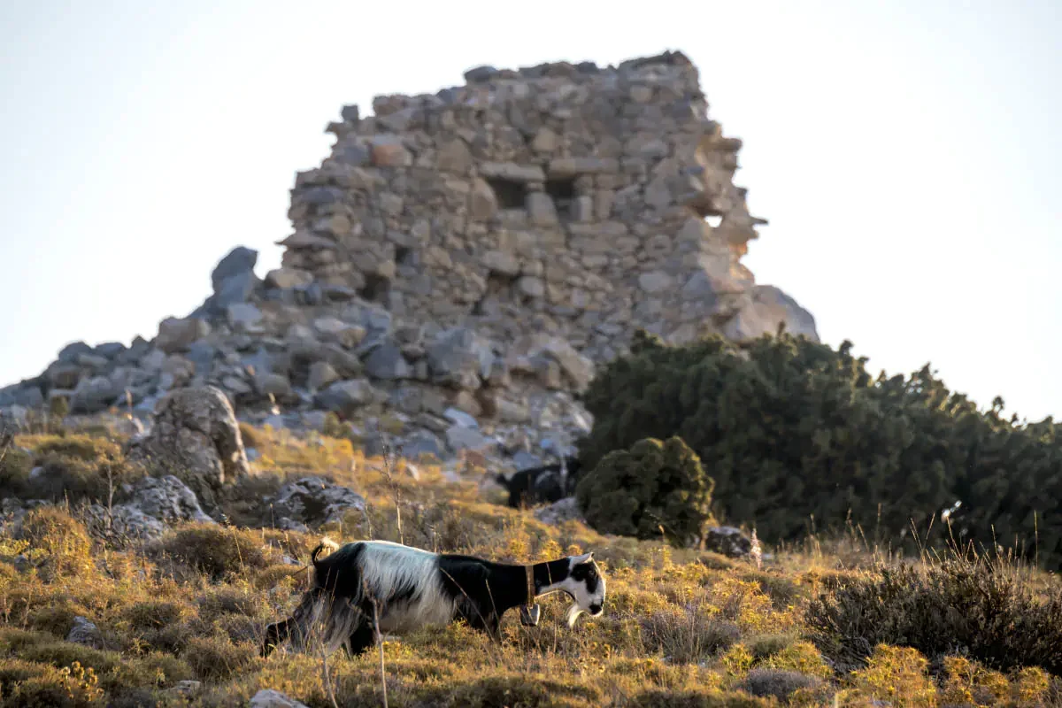 Lasithi Plateau, Crete island, Greece