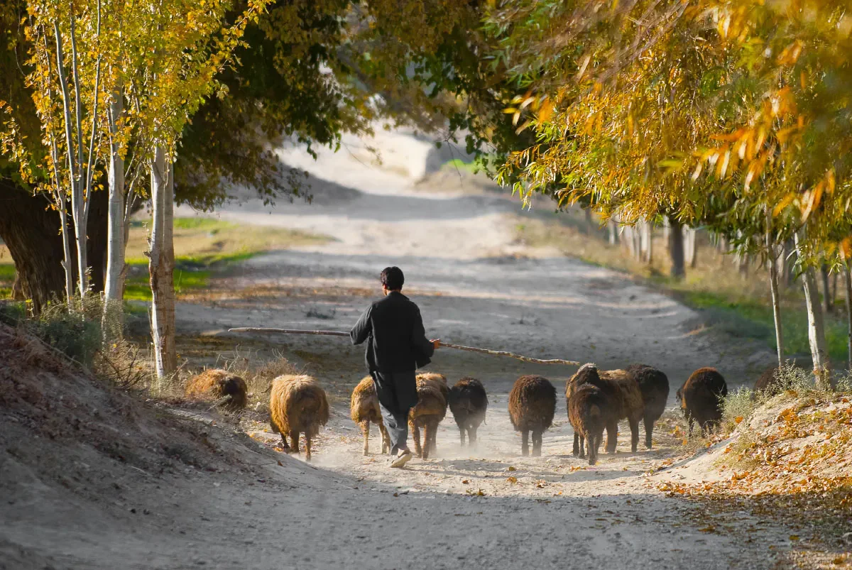 Balkh, Afghanistan