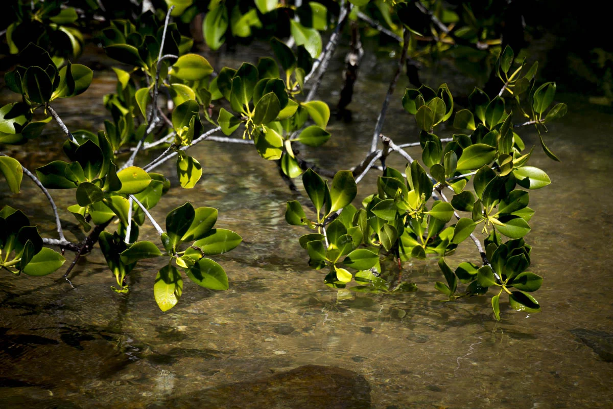 Komodo National Park, Indonesia
