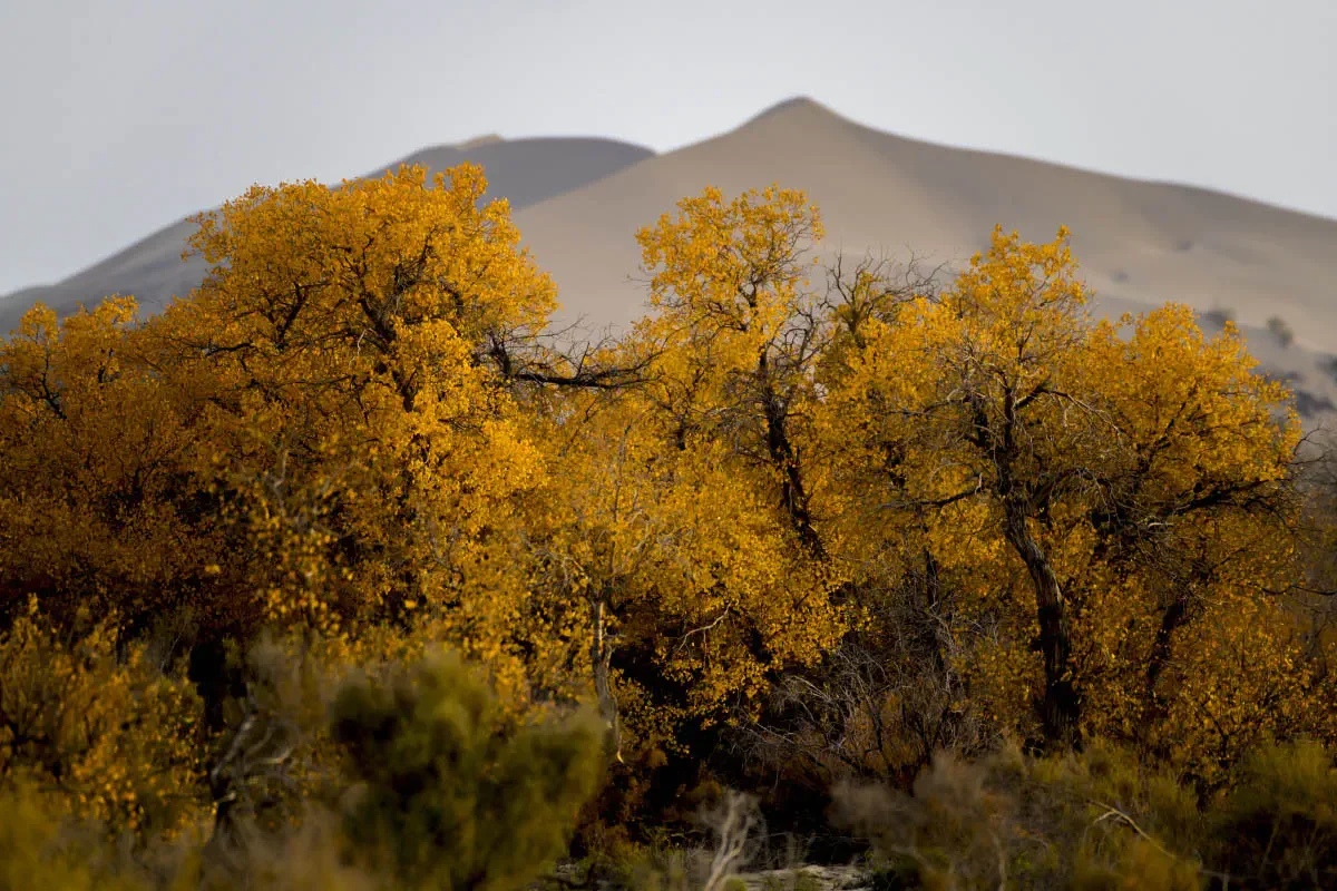 Altyn-Emel National Park