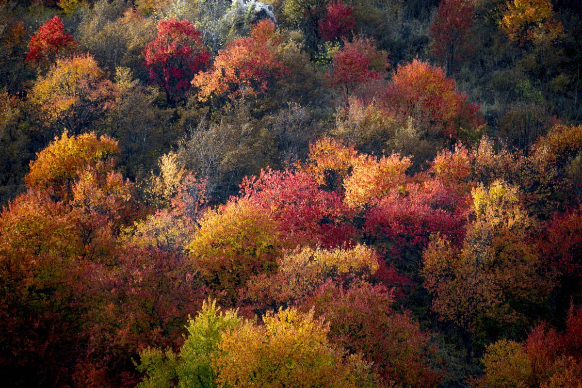 Autumn in the Northern Tien Shan
