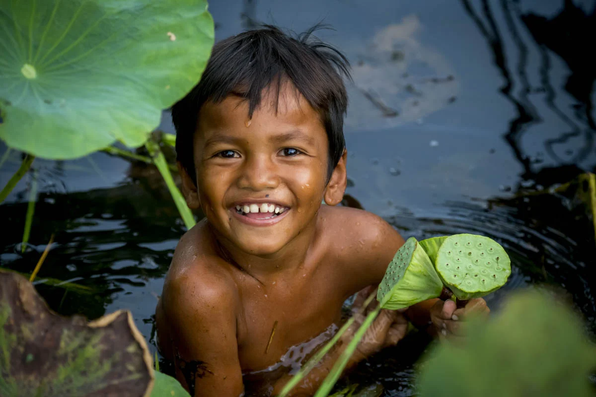 In a lotus field, Cambodia