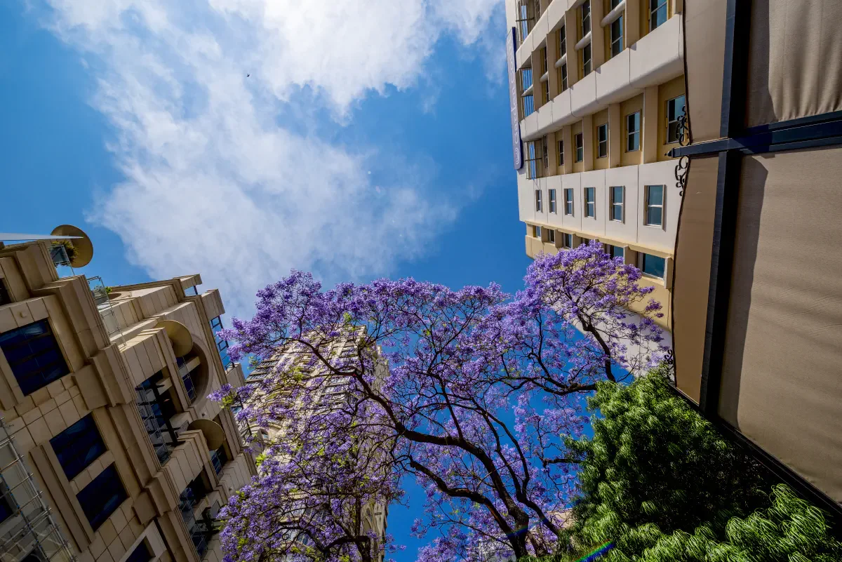 Sandton. Gauteng Province, South Africa
