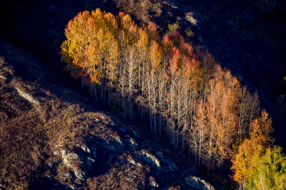 Altai mountain system, Eastern Kazakhstan