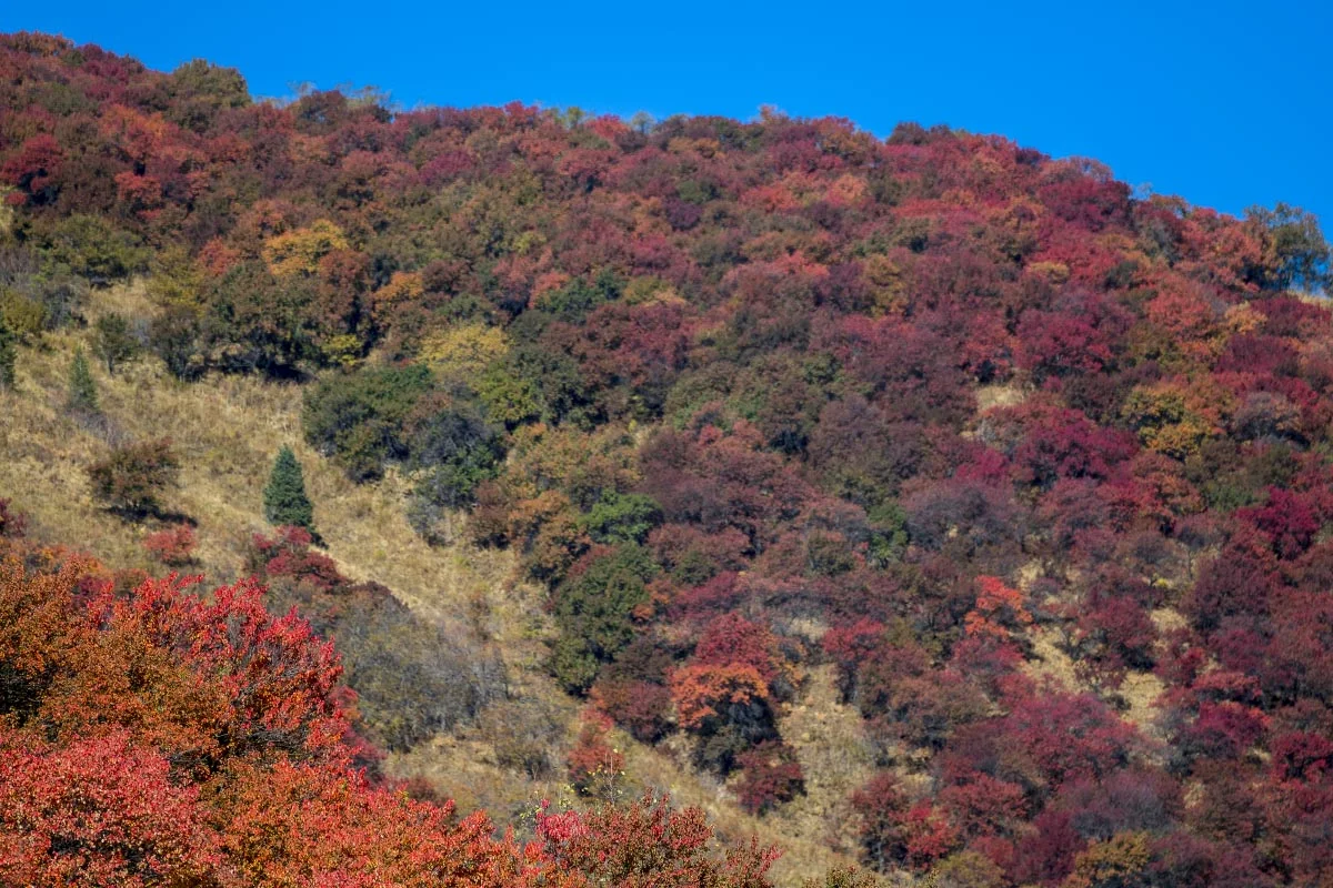 Autumn in Northern Tien Shan