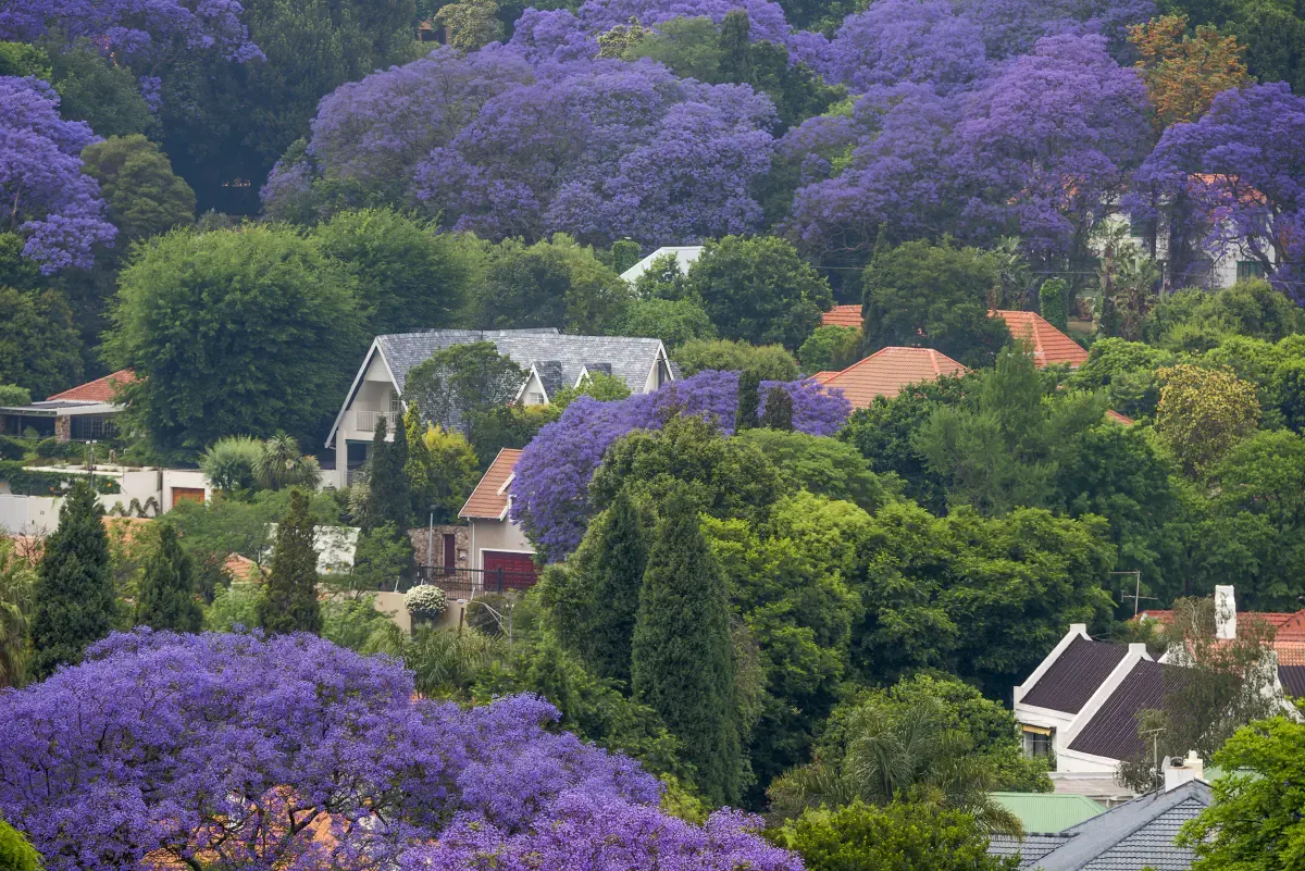 Sandton. Gauteng Province, South Africa