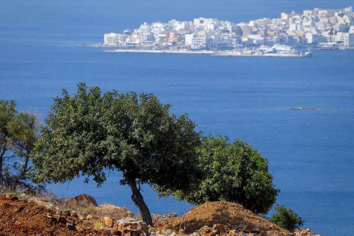 Agios Nikolaos, Crete island, Greece