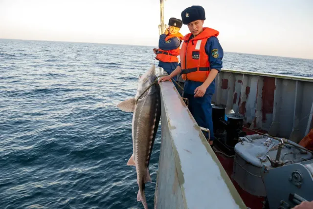 Подразделения береговой охраны Казахстана охраняют водную границу страны на Каспийском море