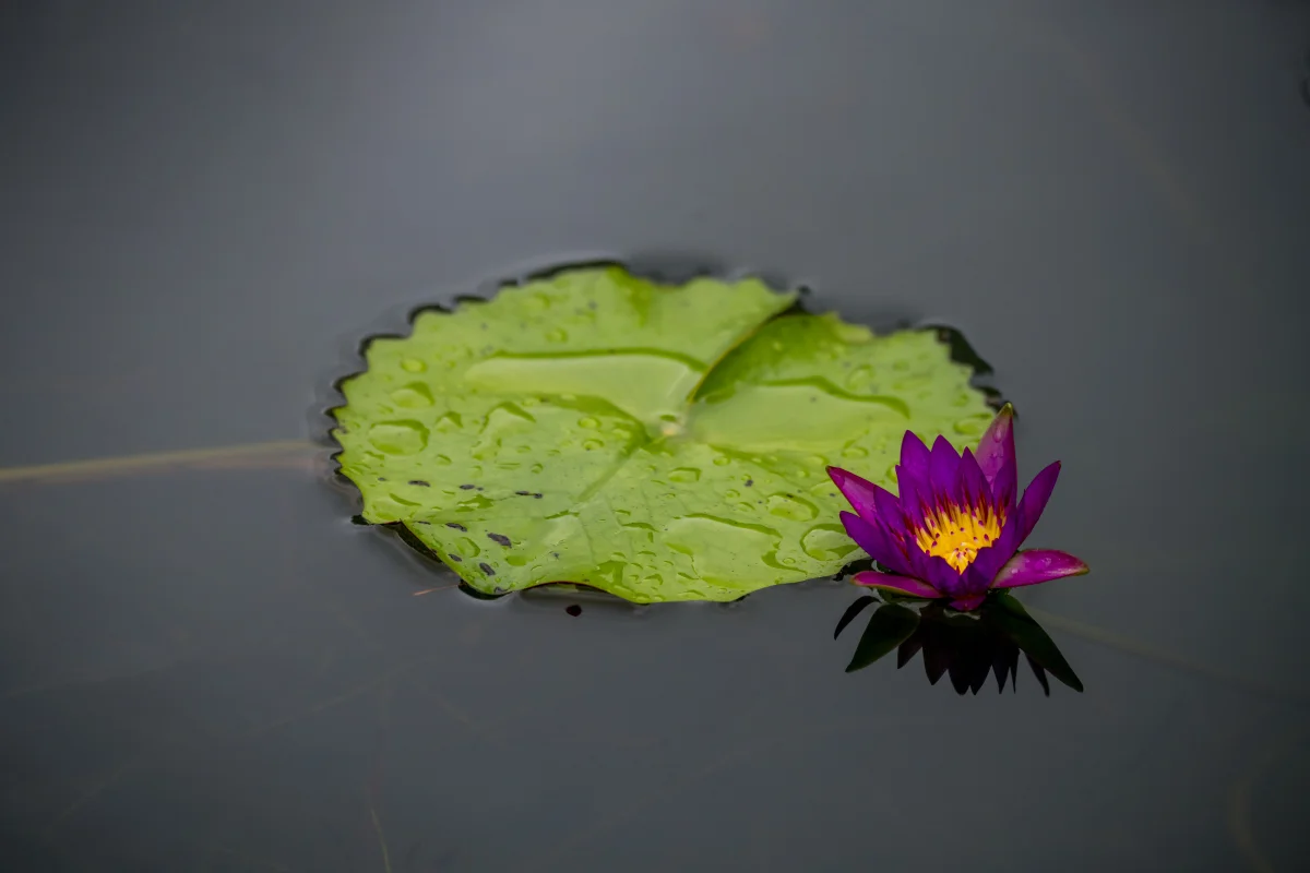 Hue, Vietnam