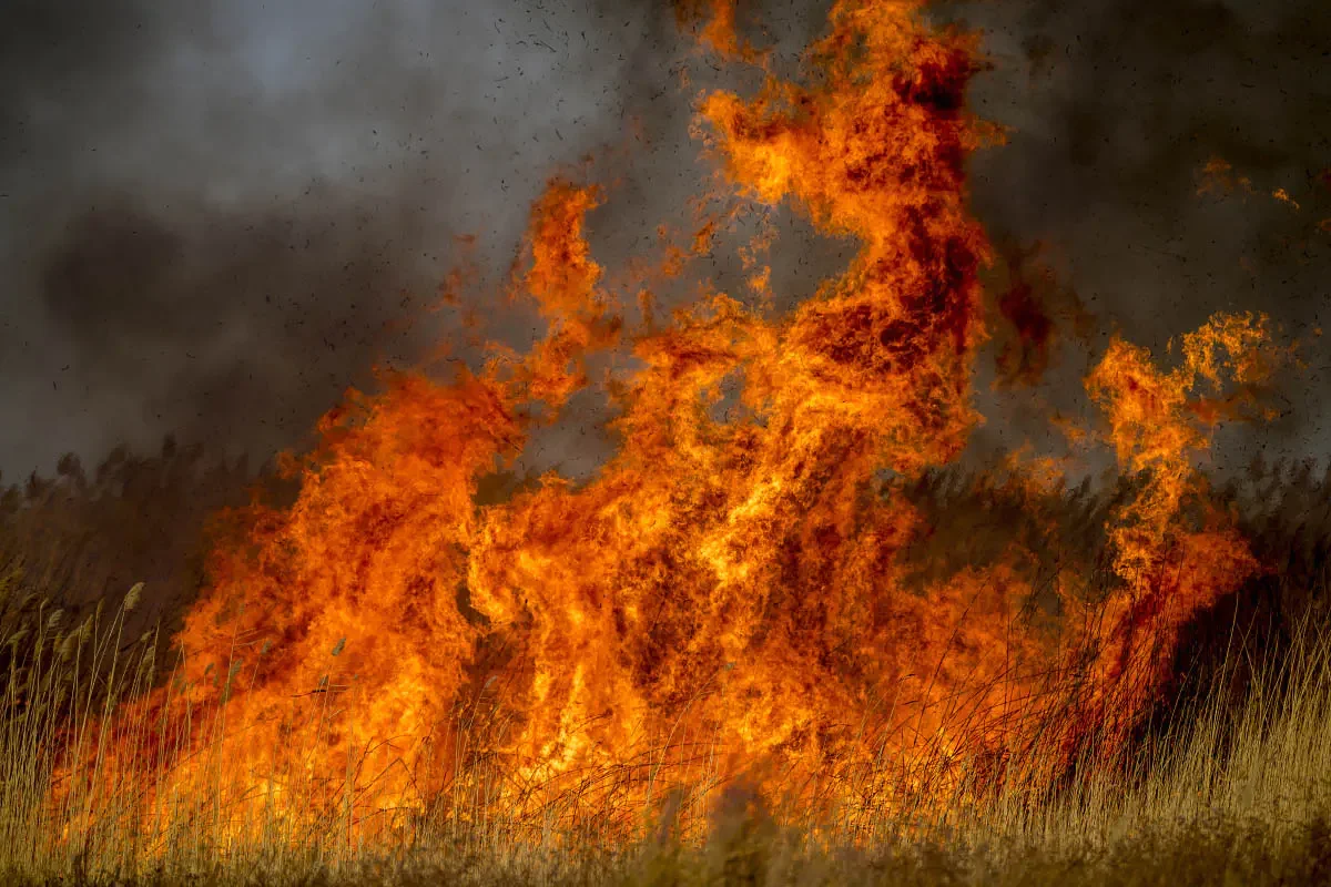 Fires in Moyinkum, Zhambyl region, Kazakhstan