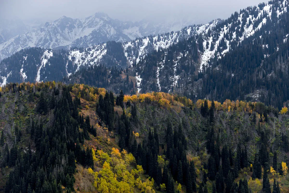 Late autumn in Trans-Ili Alatau. Northern Tien Shan